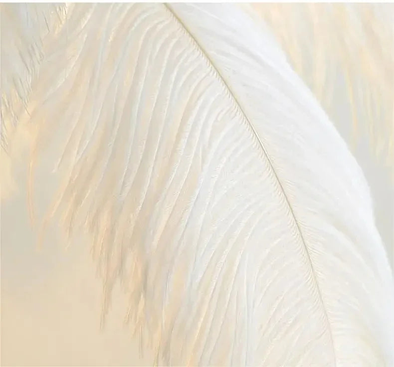 Nordic Ostrich Feather Floor Lamp Living Room Sofa Background Wall Floor Standing Lamp Home Decor Bedroom Bedside Table Lighting