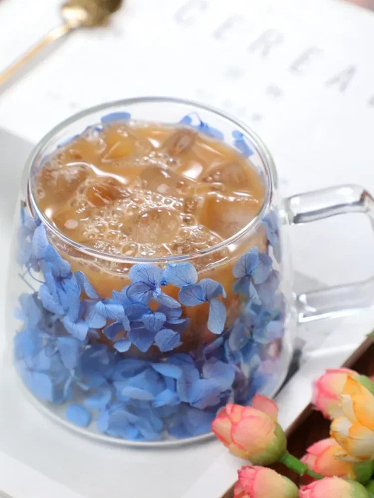 Double Wall High Borosilicate Clear Glass Cup Dried Flowers Glass Tea Cup Coffee Mug with Handle Heat Resistant Tea Cups